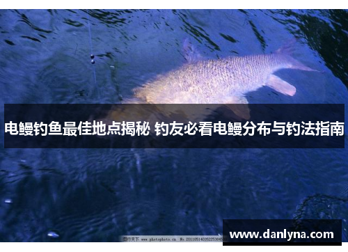 电鳗钓鱼最佳地点揭秘 钓友必看电鳗分布与钓法指南